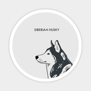 Siberian Husky - portrait Magnet